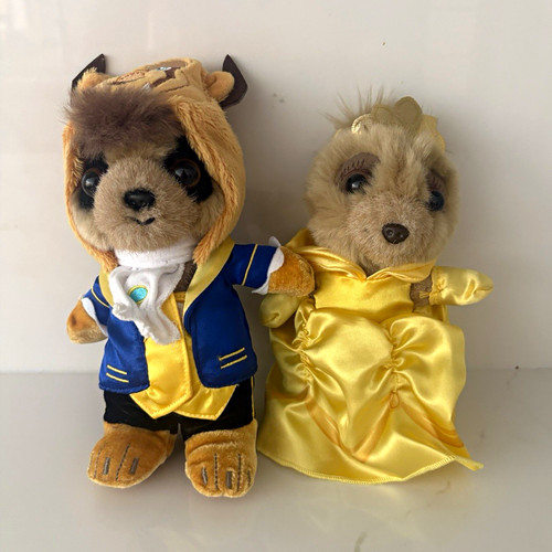 Meerkat beauty and - meerkat,