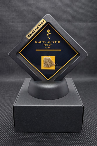 Rare beauty and the - -,