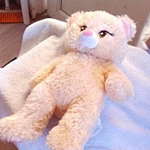 Build bear workshop disney - workshop,