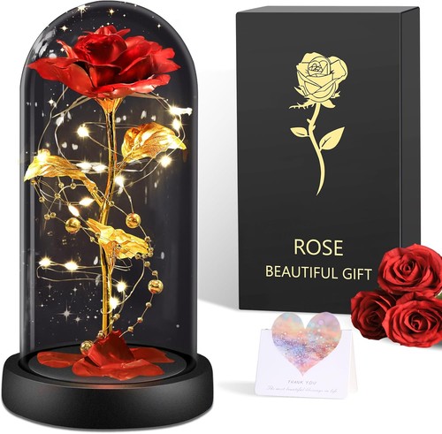 Eternal rose for her - eternal, beauty