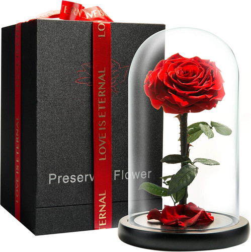 Preserved forever rose - forever,